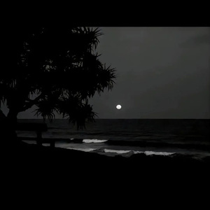 老男人夜生活与女人视频
